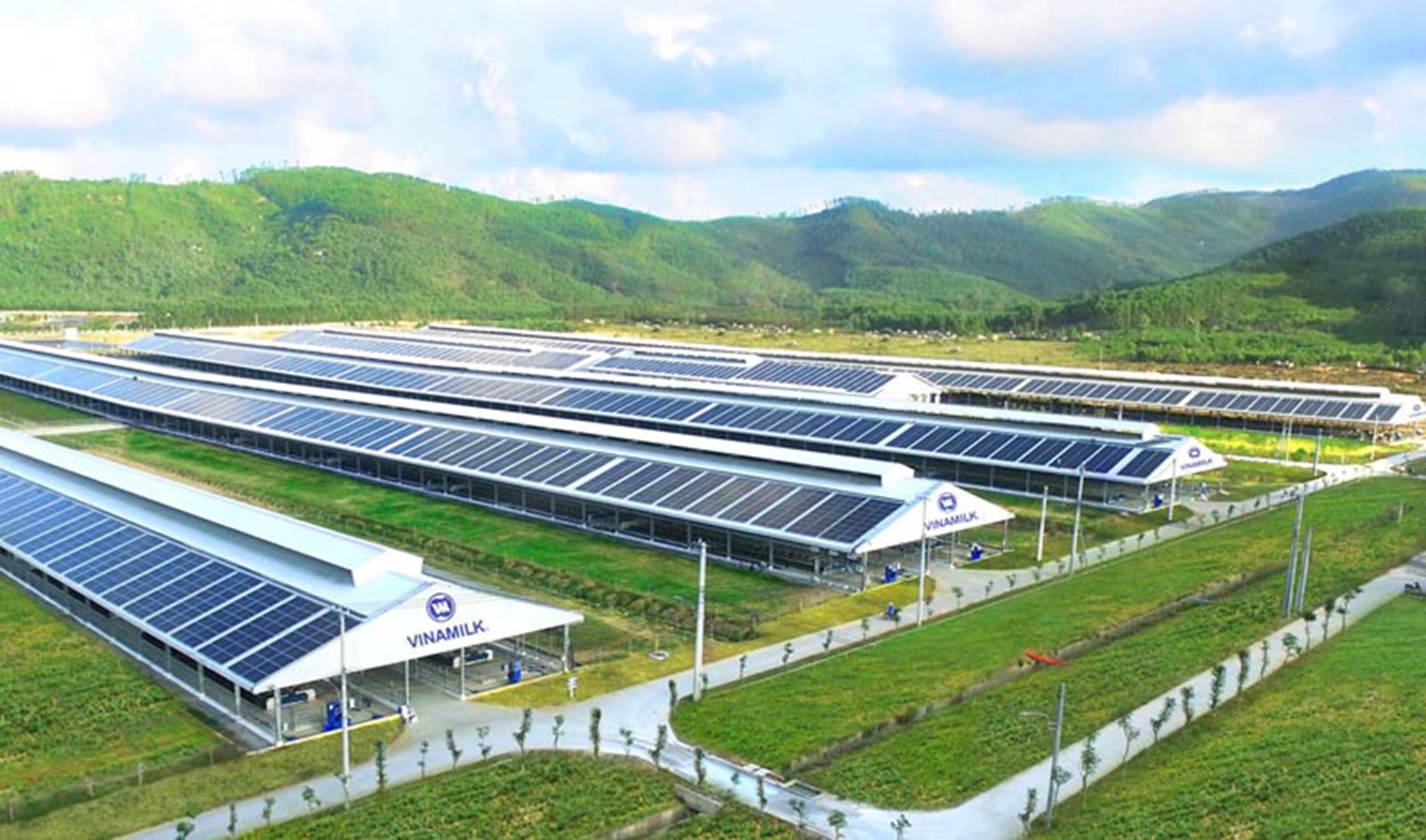 vinamilk-da-trien-khai-thanh-cong-he-thong-trang-trai-sinh-thai-vinamilk-green-farm vinamilk-da-trien-khai-thanh-cong-he-thong-trang-trai-sinh-thai-vinamilk-green-farm